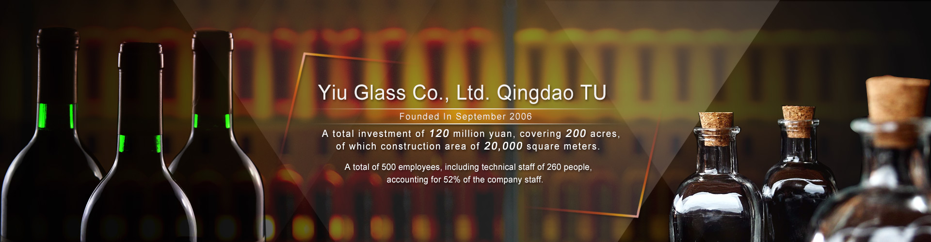 Jining Xinxin Ultrasonic Electronic Equipment Co., Ltd.